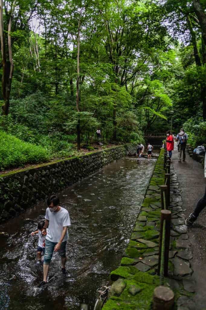 People walking on the shallow part of the river in Tokyo