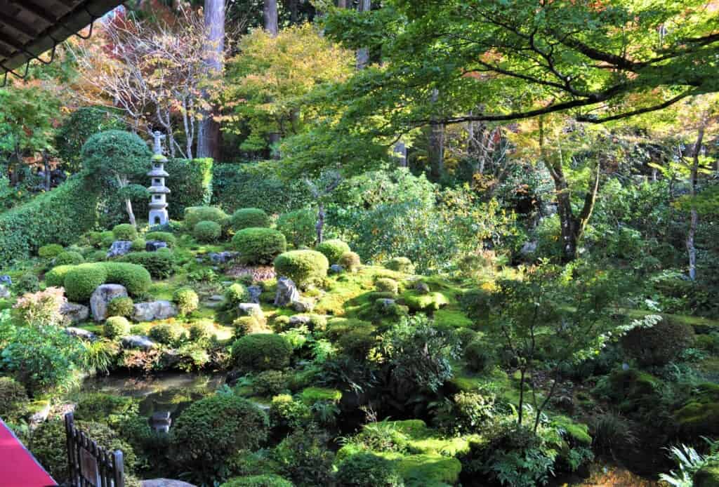 Japanese moss garden in Kyoto