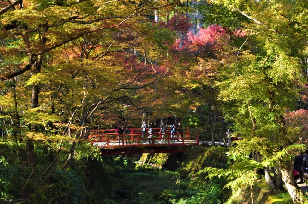 Shuheki-en garden in Sanzen-in, Ohara, Kyoto