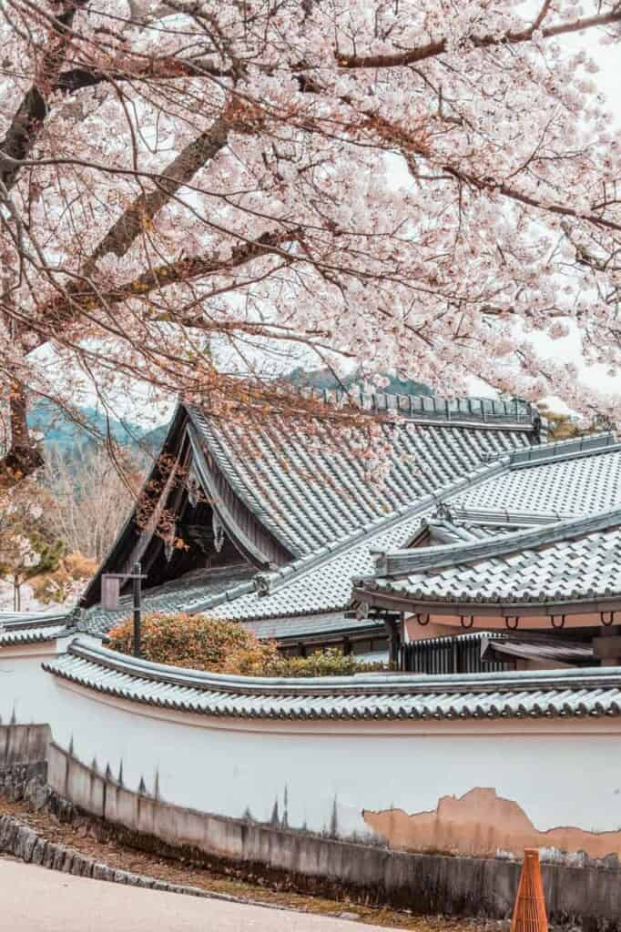 traditional building in japan 