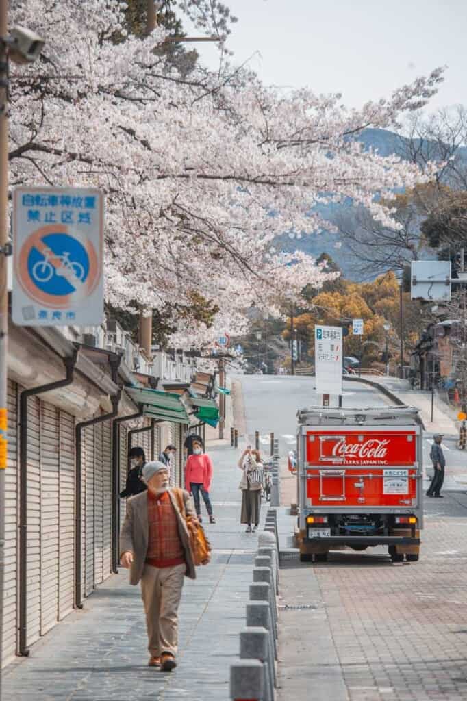 souvenir and cherry blossom stalls on sanjodori street