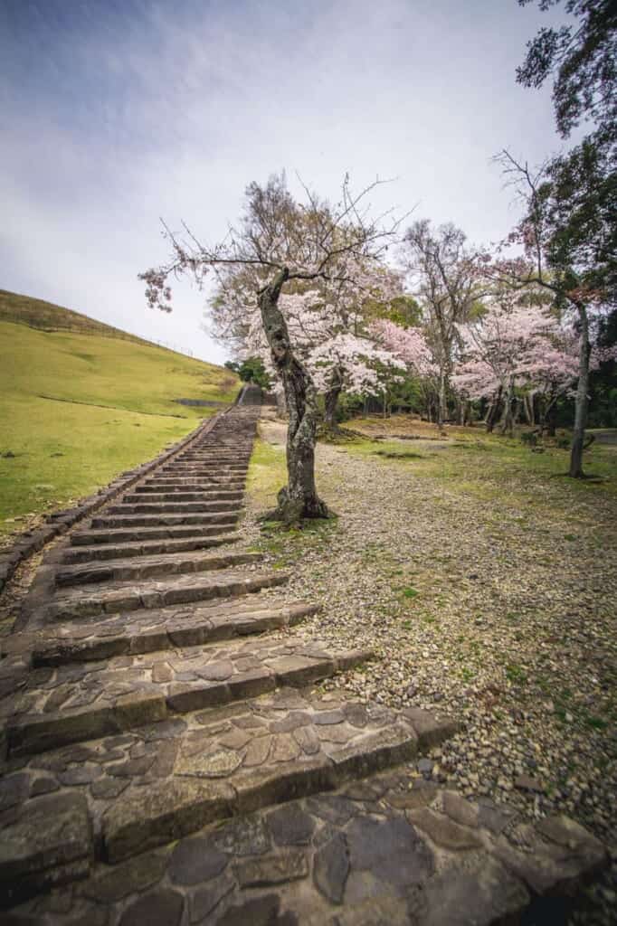 the way up to the summit of Mt. wakakusa