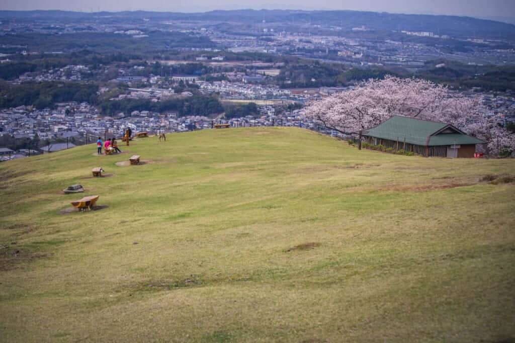 mount wakakusa observatory during spring in japan