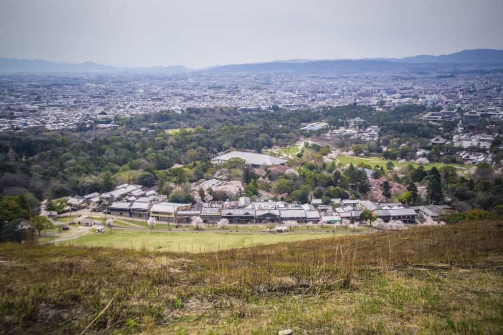 views of nara from mount wakakusa