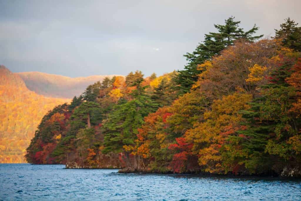 Fall colors surrounding Lake Towada  in Japan