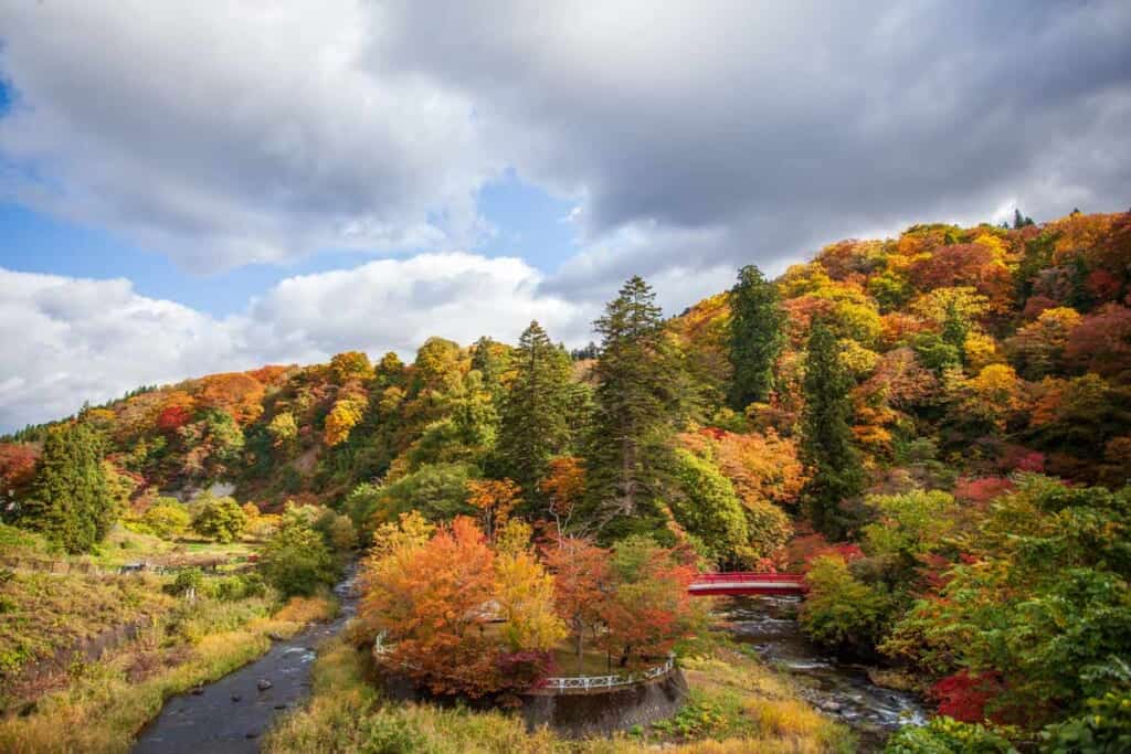 beautiful autumn leaves landscape in Japan