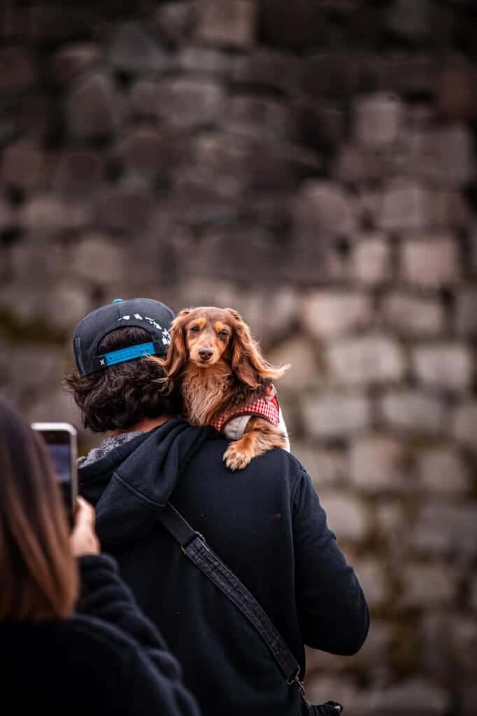 a woman taking a pic of her dog in japan