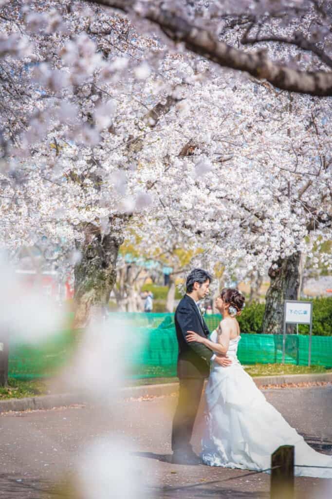couple in wedding dress under cherry blossoms