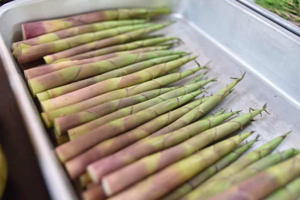 bamboo vegetables in Japanese restaurant in Tsuruoka, a UNESCO Creative City of Gastronomy in Japan