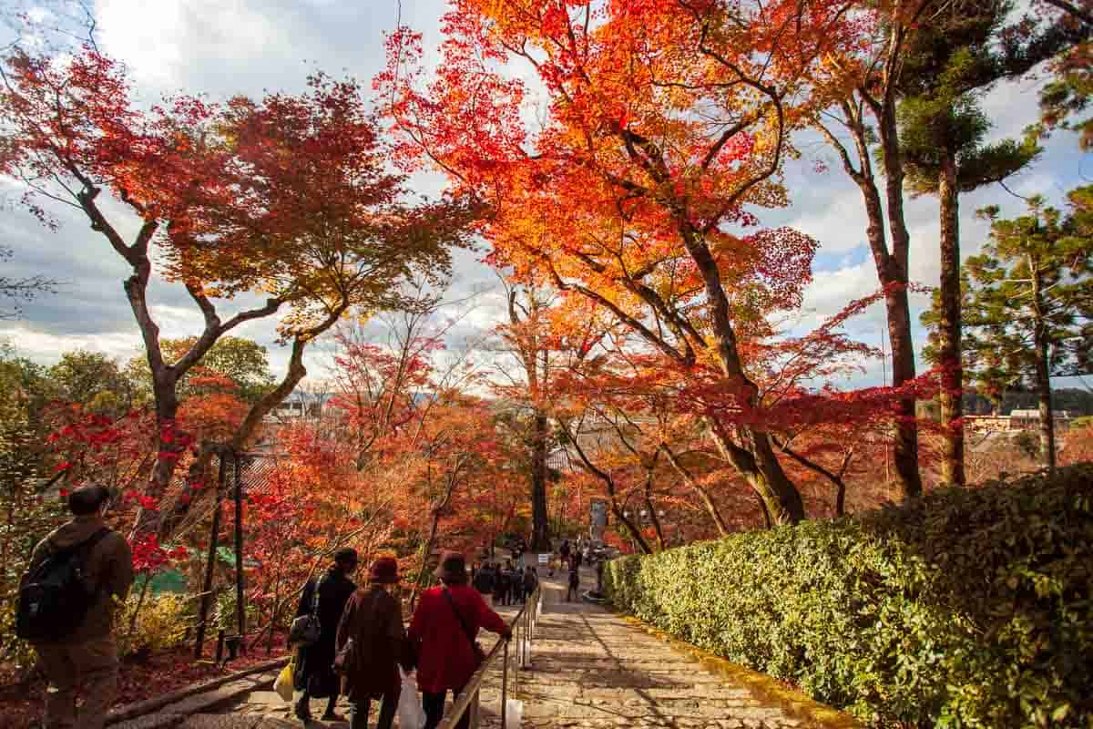 Fall Colors in Kyoto Best Autumn Foliage Spots to Visit in Japan