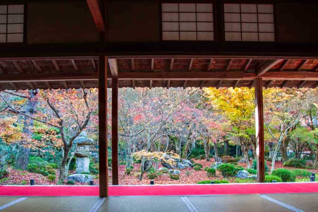Autumn colors from Enkouji Temples main hall