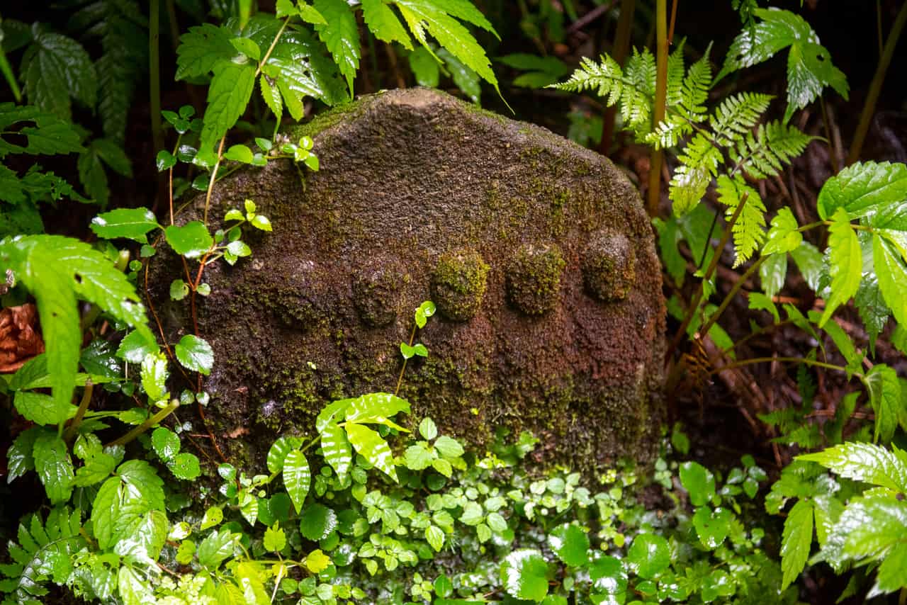 Top Things to See and Do in Tsuruoka: Nature, Hot Springs, & Spiritualism