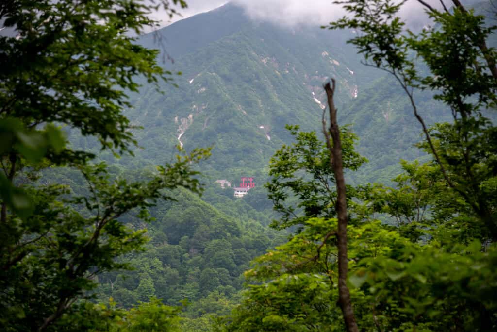 A picture of the beauty of Mt. Yudono's natural environment