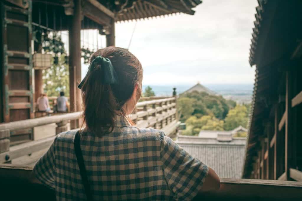 view of Nara from the top of a temple, japan