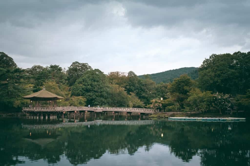 a pond in Nara Park