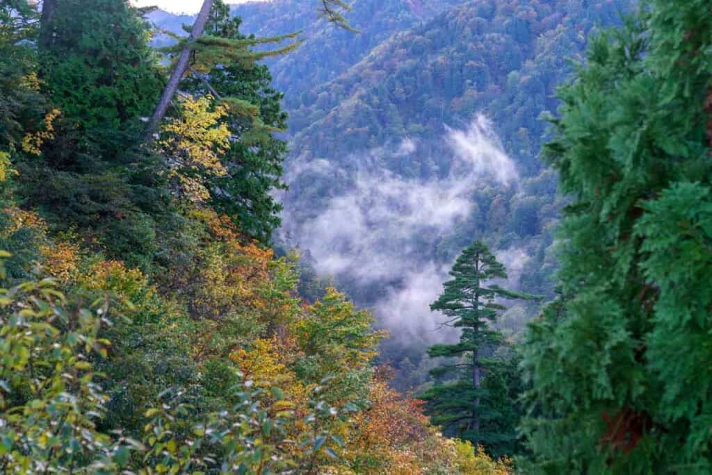 View of the mountains of Shirakami Sanchi in Japan