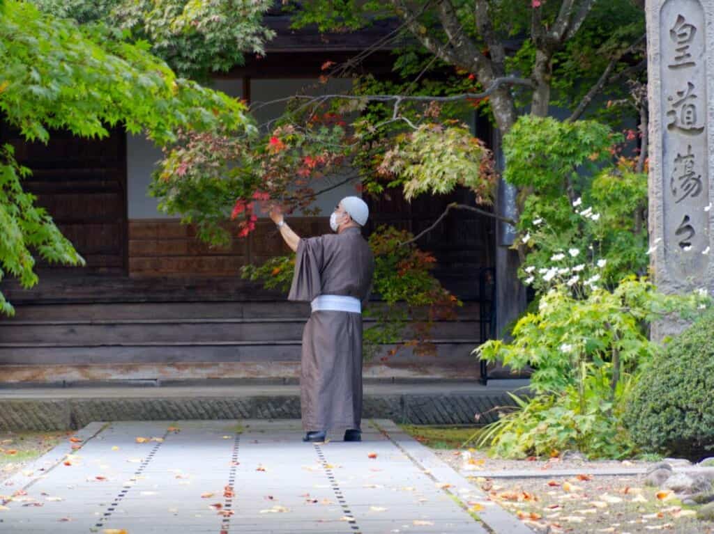 Monk in Japan 