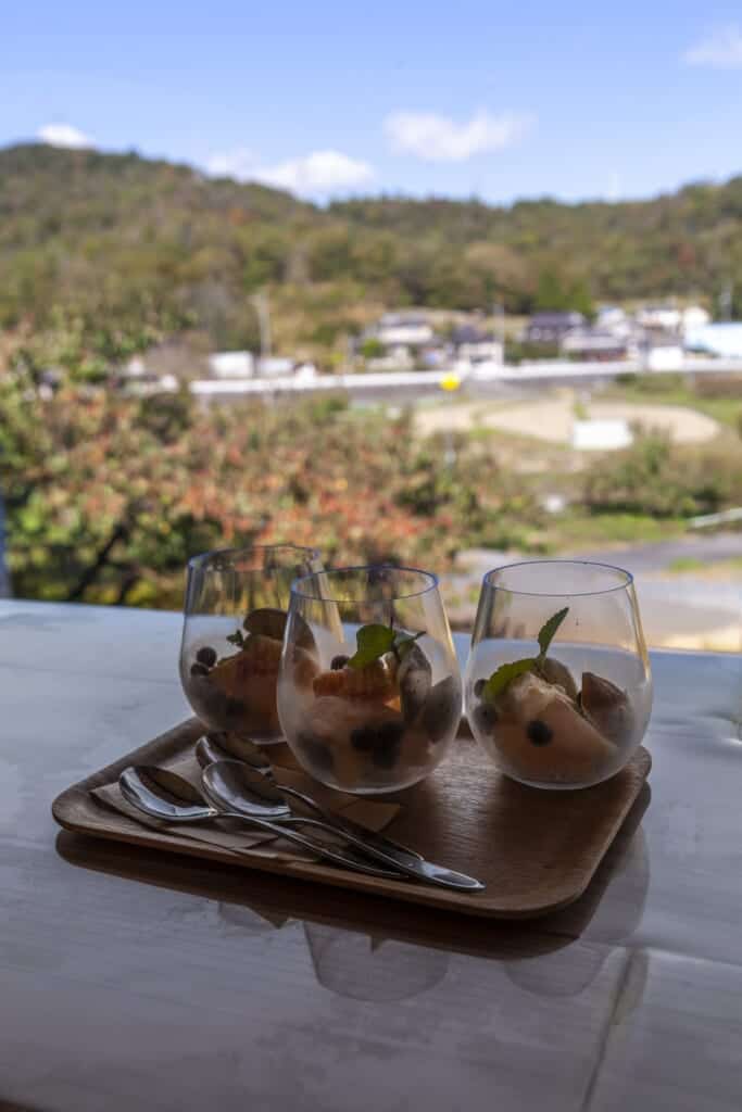 Frozen white peach, blueberries and La France pear at Oumi no Sato's Rich Fruits cafe