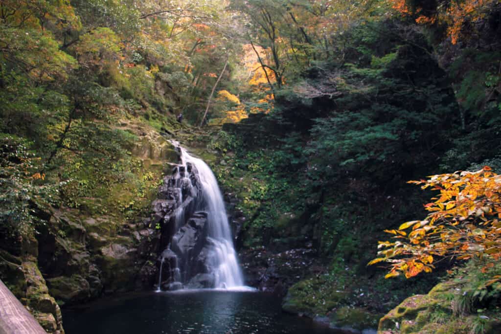 the fudodaki waterfall in the forest in Japan