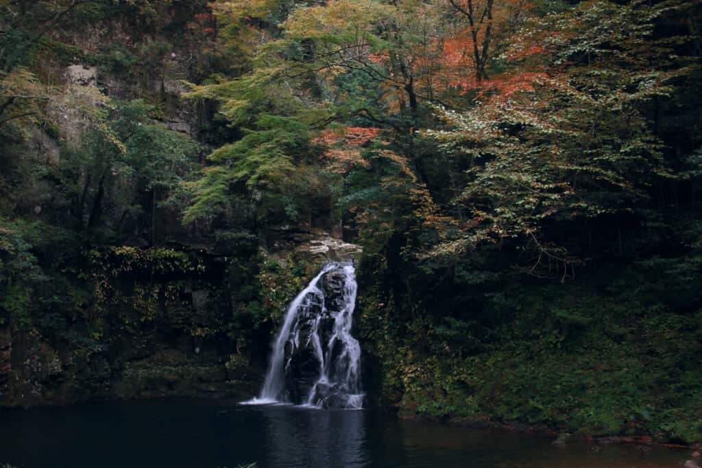 the senjudaki waterfall in the forest