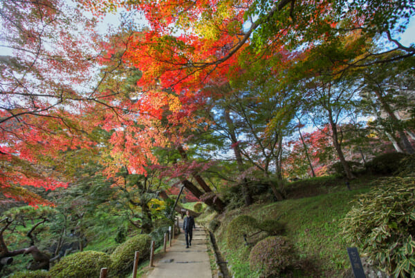 Man walking through autumn colors