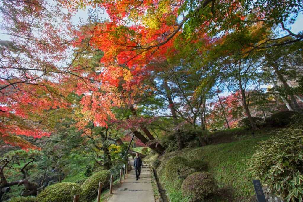 Man walking through autumn colors in Japan