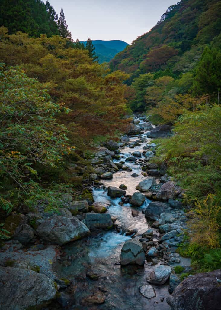 nakatsu gorge in shikoku, japan