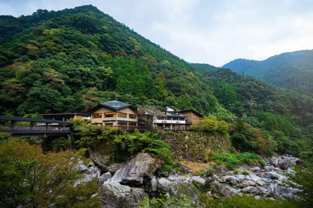 luxury ryokan accommodation surrounded by forest in shikoku, japan