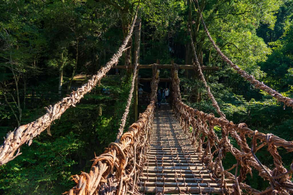 vine bridge in shikoku, japan