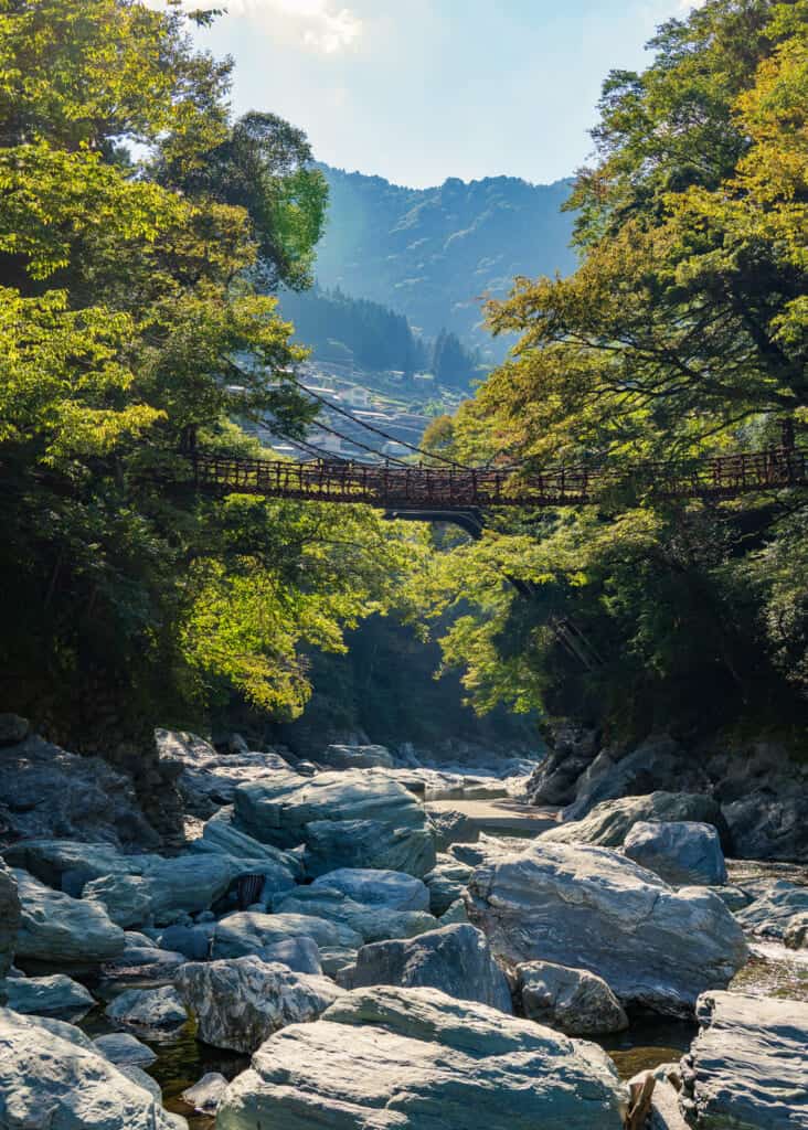 famous vine bridges in shikoku, japan