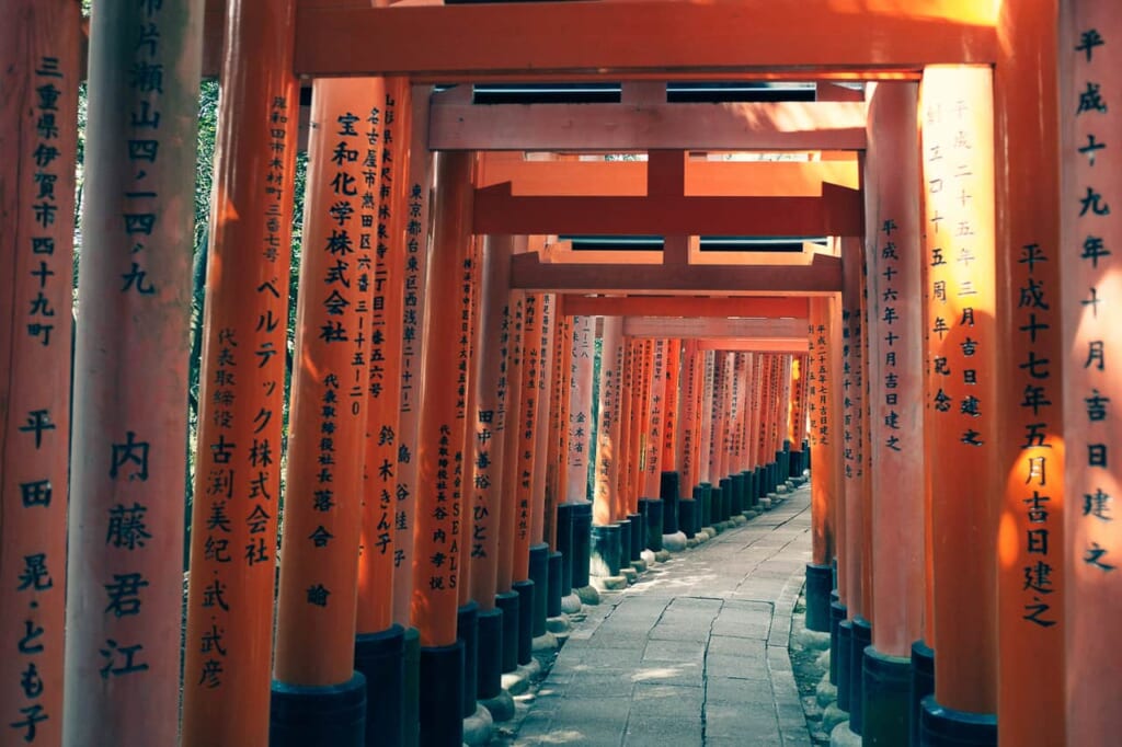 Japanese torri gates near a shrine in Japan