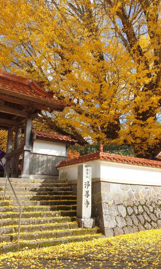 Entrance to Jozenji with gingko leaves in Japan