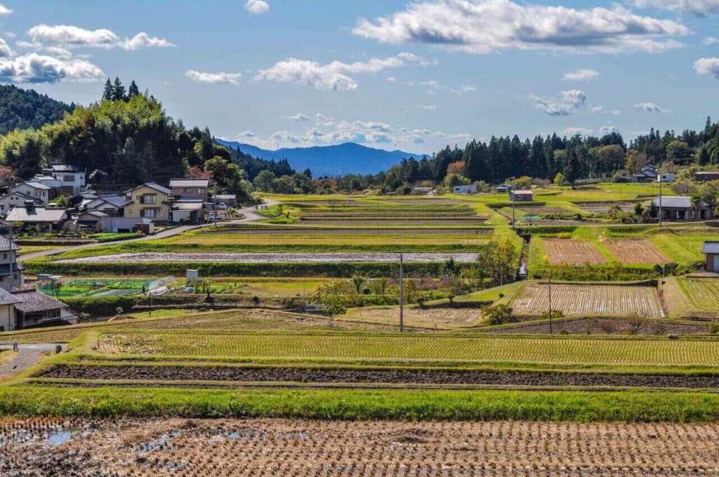 Magome and its many rice fields
