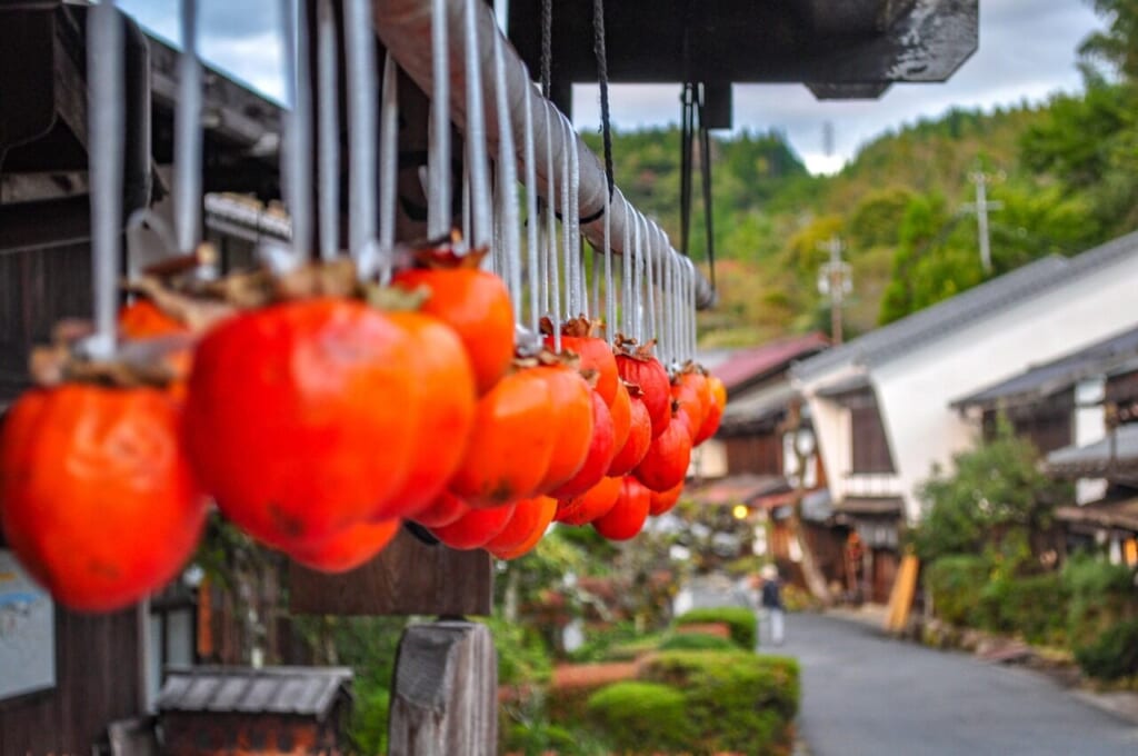 Hoshigaki: delicious dried persimmons