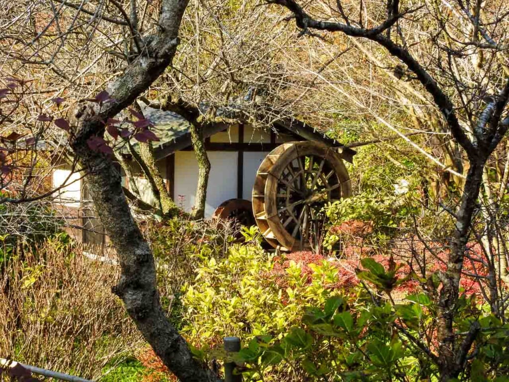 traditional water wheel in  japanese cafe