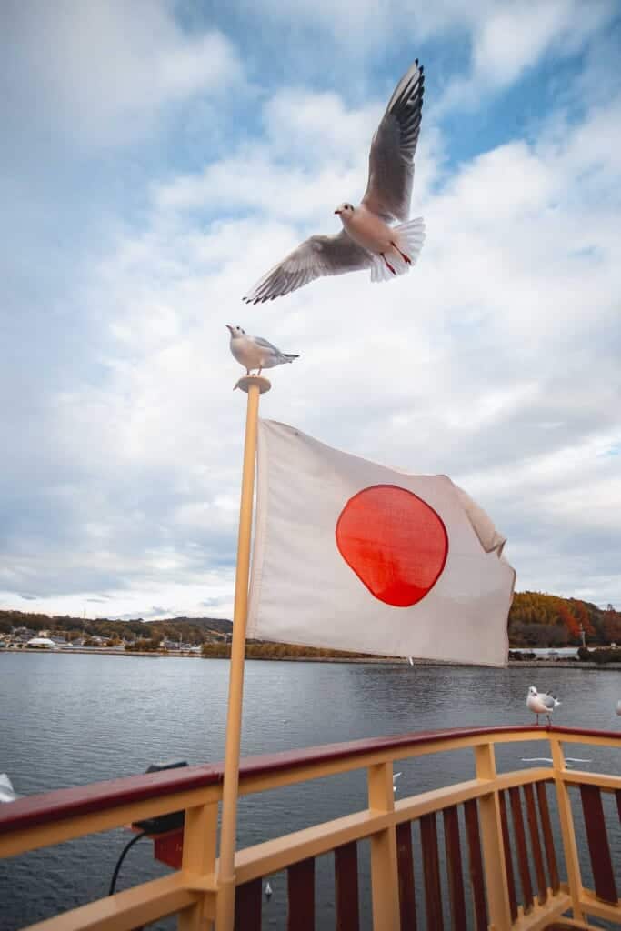 A seagull flying while another one is on the japanese flag