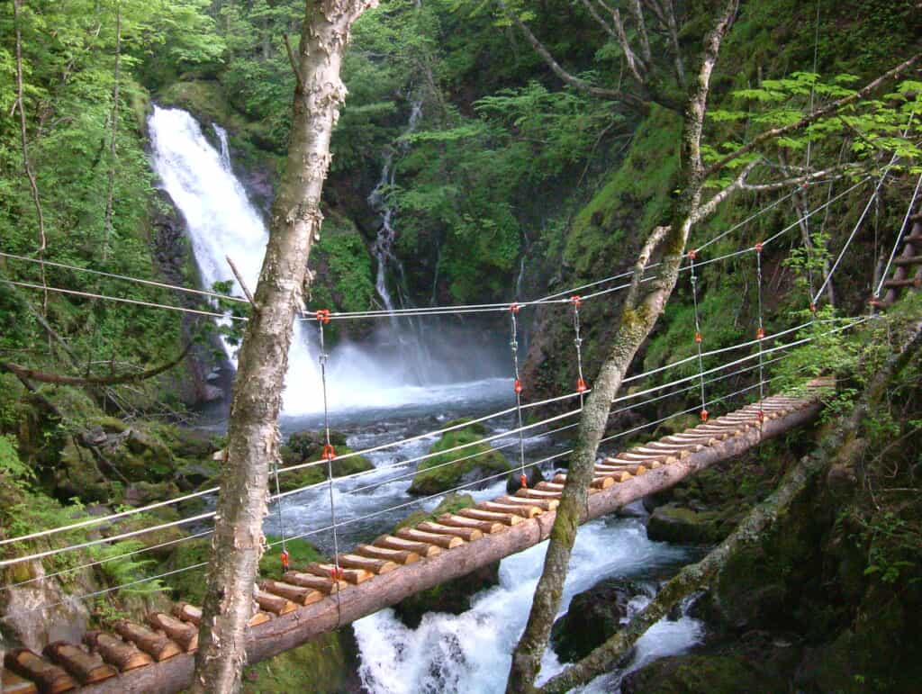 hiking trail and bridge  in japan