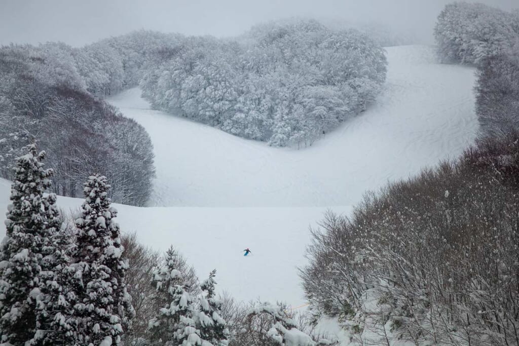skiing down a snow mountain in Japan