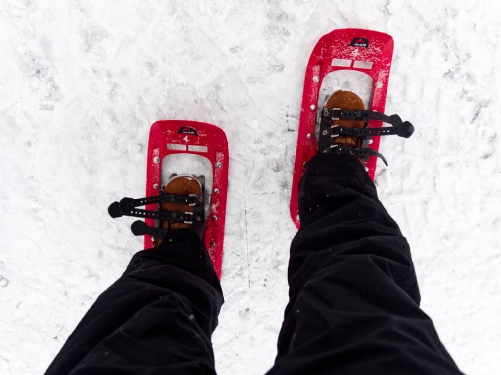 wearing snowshoes in Japan