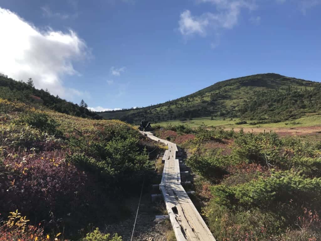 a hiking trail in Fukushima