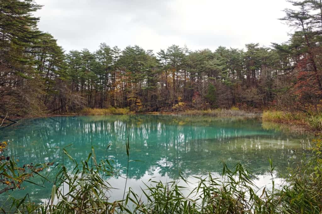 Goshikinuma ponds with blue water