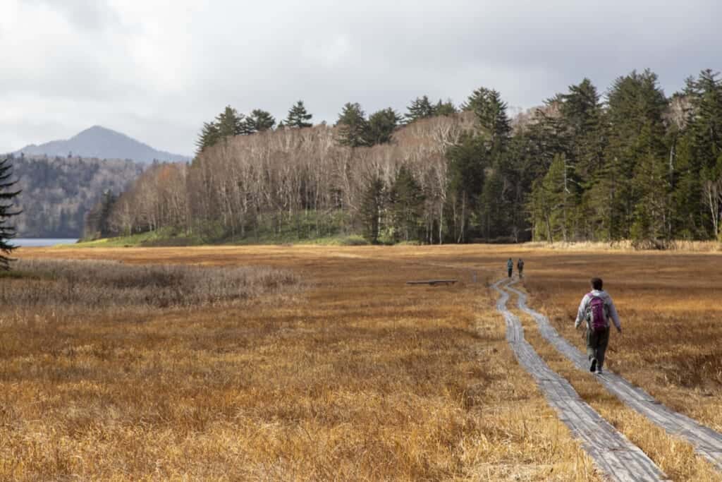 hiking in japanese field