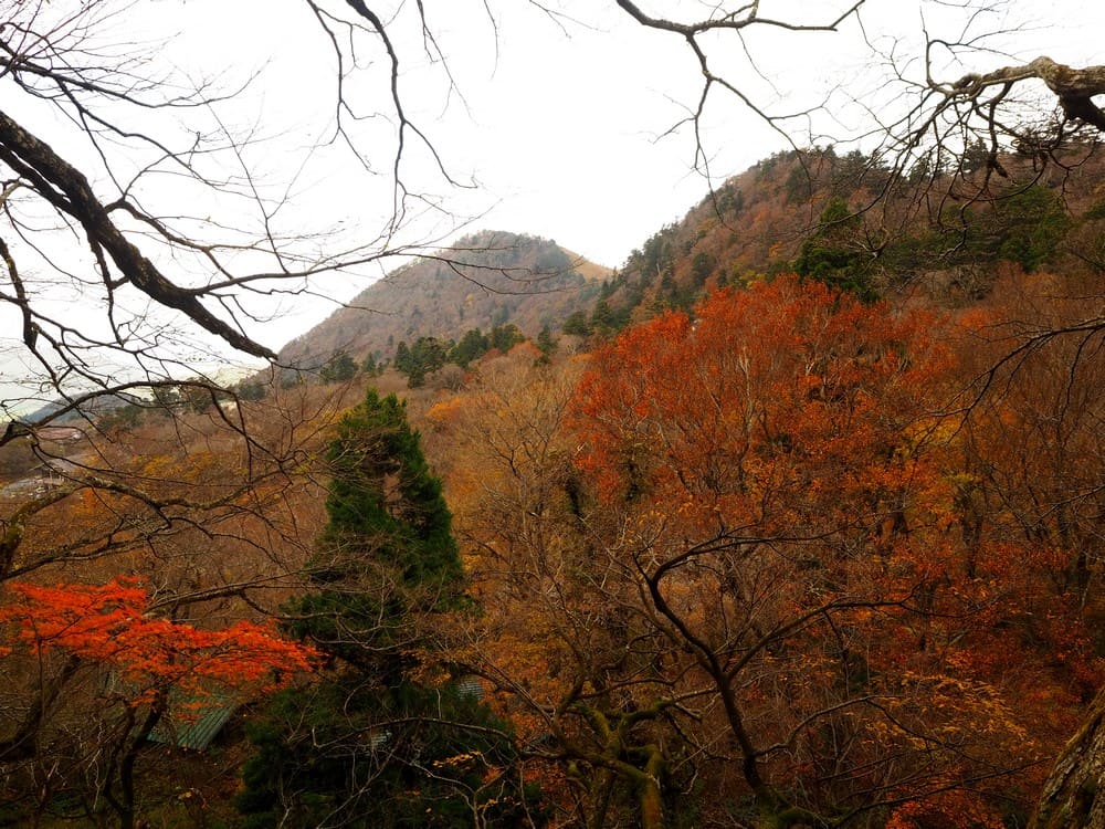 Autumn foliage in Mt. Daisen, Tottori