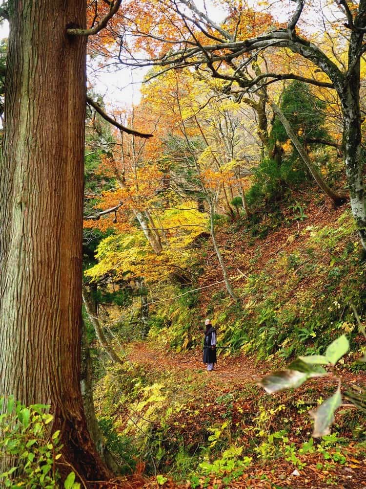 Autumn foliage in Tottori, japan