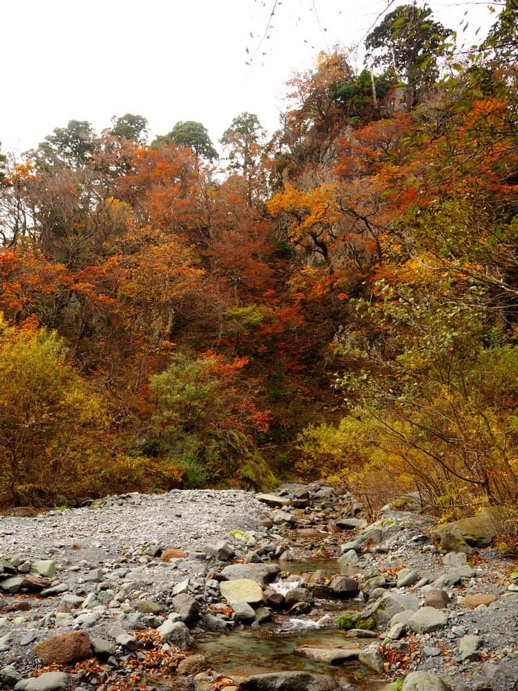 creek and Autumn foliage in Mt. Daisen, Tottori