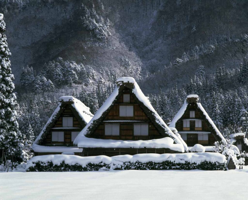 shirakawago thatched JApanese houses in Gifu