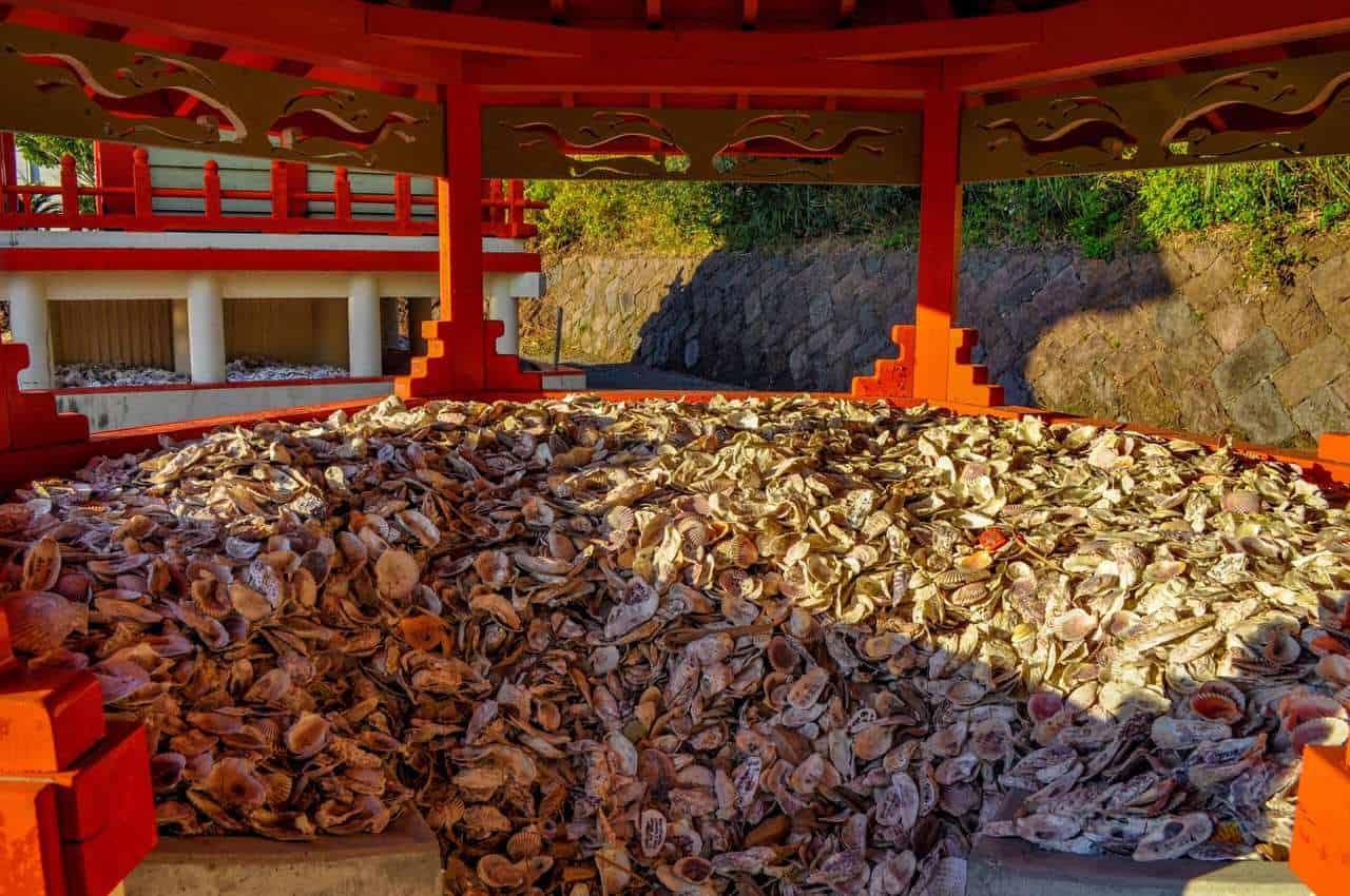 Ryugu Shrine's shells
