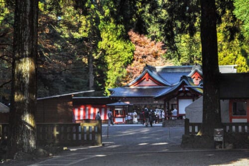 Kirishima Shrine, in the middle of the forest