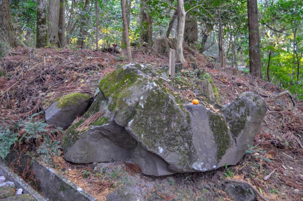 Turtle-shaped rock