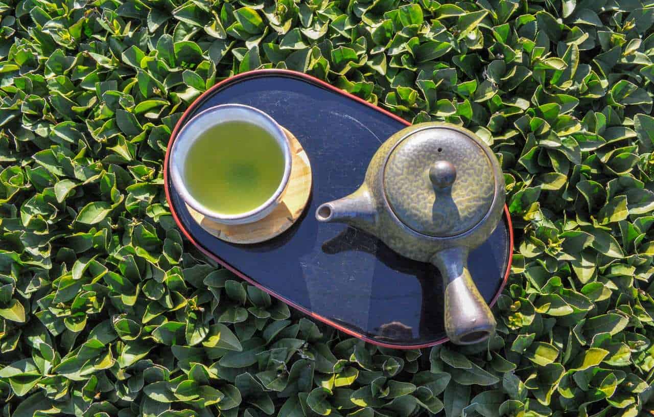 A well-deserved break with a sencha tea